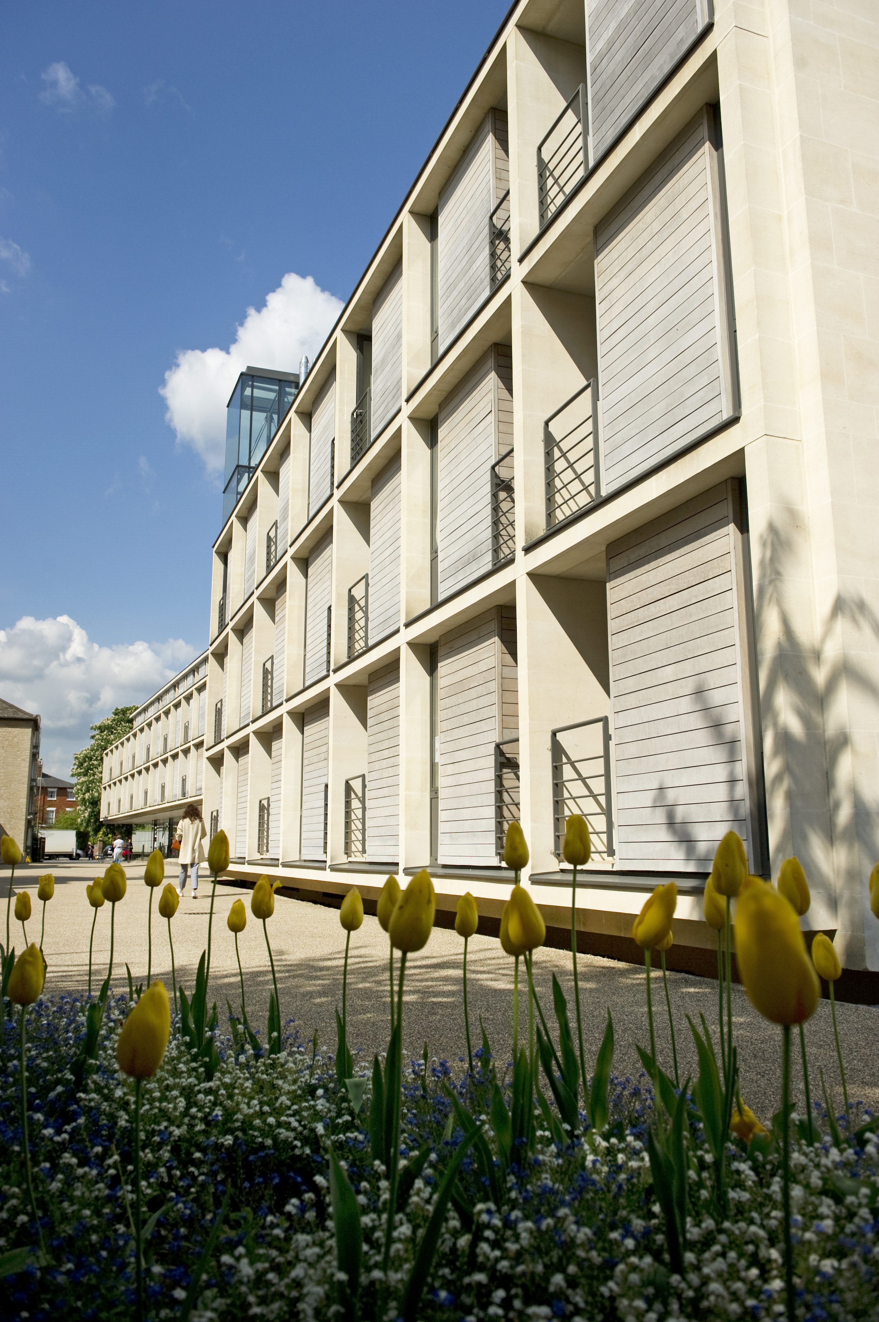 conferencesRDB with tulips