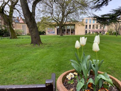 College in Spring 4